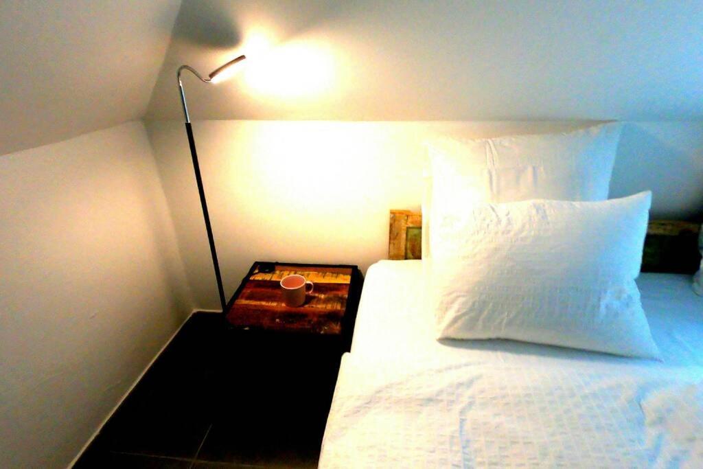 The Mountain Loft Klinovec - With Infrasauna ياخيموف المظهر الخارجي الصورة