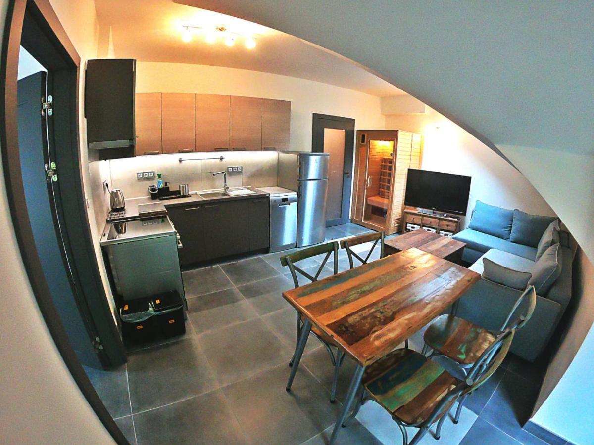 The Mountain Loft Klinovec - With Infrasauna ياخيموف المظهر الخارجي الصورة